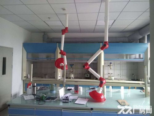 聚焦104板塊 生物醫(yī)藥與化工研發(fā)新園區(qū)——環(huán)評(píng)無(wú)憂，創(chuàng)新驅(qū)動(dòng)未來(lái)