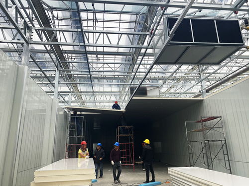 科技賦能農(nóng)業(yè)新愿景 生物化工技術(shù)引領(lǐng)的草莓植物工廠，開(kāi)啟全年“草莓自由”時(shí)代